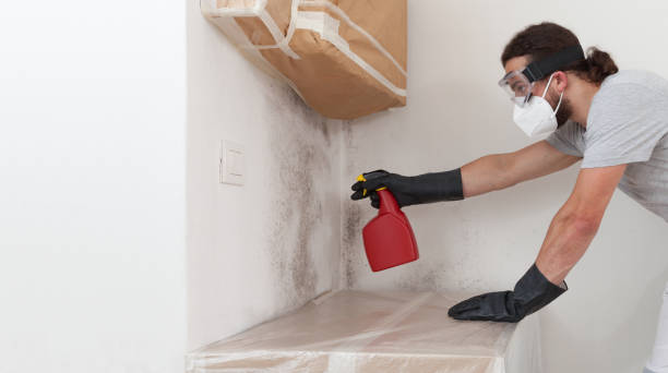 Professional Mold Removal technician working in Warrenton, OR